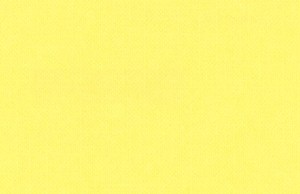 CARPELINE  131-K GIRASOL   70 x 100 cms.