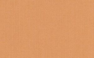 CARPELINE  171-K GACELA    70 x 100 cms.