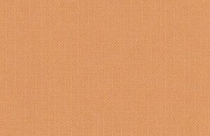 CARPELINE  171-K GACELA    70 x 100 cms.