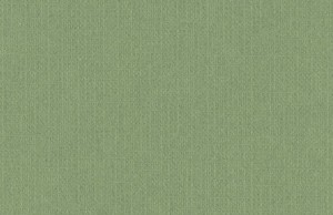 GELTEX 130 gr. 143-K  VERDE ALGA 70 x 105 cms.