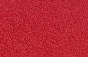 GUAFLEX ATLANTIS 5080  FRESA