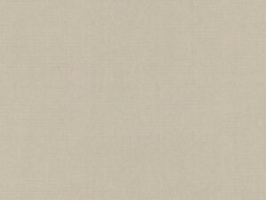 PAPEL BUGRA 130 GR. 86 x 53,5  cms. GRIS