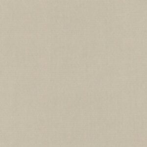 PAPEL BUGRA 130 GR. 86 x 53,5  cms. GRIS