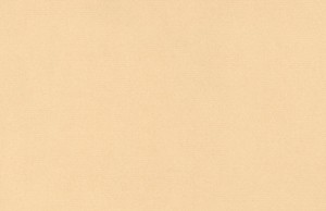 PAPEL BUGRA 130 GR. 86 x 53,5 cms.  MARRON CLARO