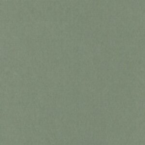 PAPEL BUGRA 130 GR. 86 x 53,5 cms.  VERDE CLARO