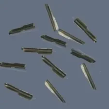 TERMINAL PARA GOMAS   SET 100 UNIDADES