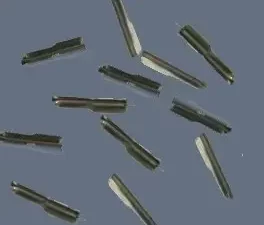 TERMINAL PARA GOMAS   SET 100 UNIDADES