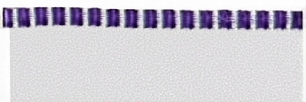 CABEZADA BIC. MORADA/BLANCA